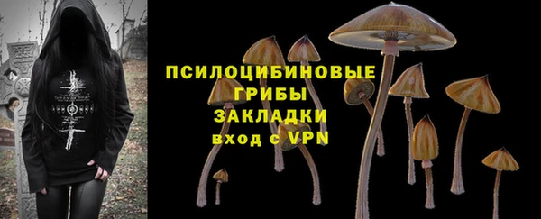 альфа пвп Семикаракорск