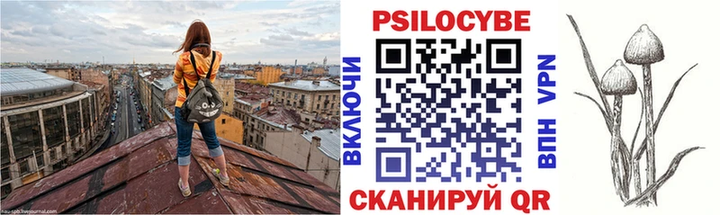 сколько стоит Кадников Псилоцибиновые грибы GOLDEN TEACHER